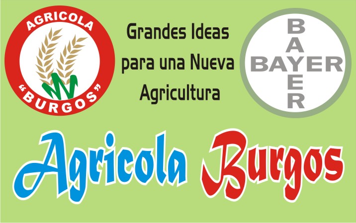 AGRICOLA BURGOS SOCIEDAD ANONIMA CERRADA - AGRICOLA BURGOS S.A.C.
